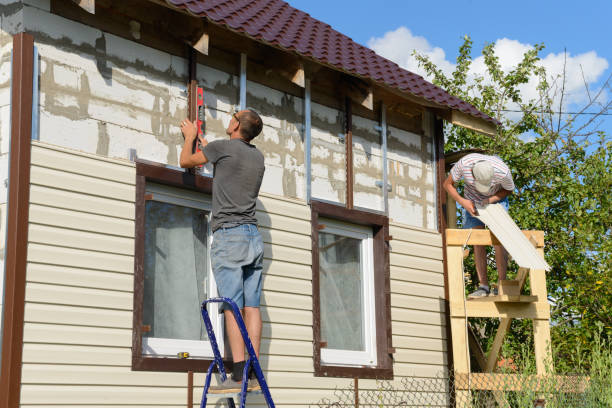 Best Stone Veneer Siding  in Forest City, IA